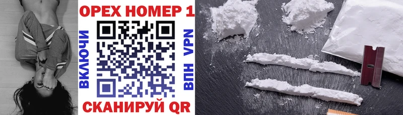 дарк нет как зайти  Болотное  COCAIN Fish Scale 