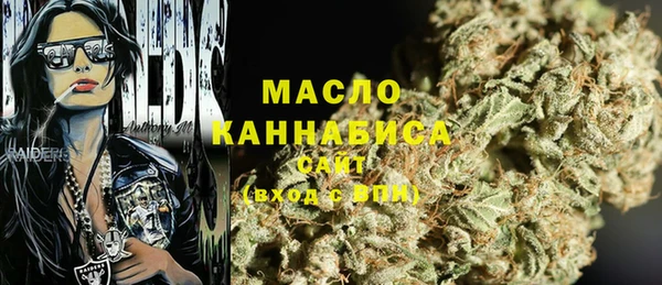 молекула духа Болохово