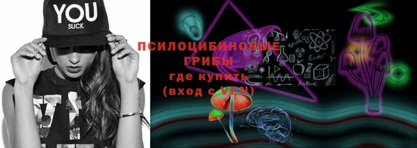 хмурый Валдай