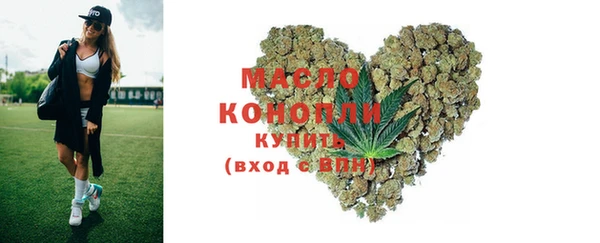 молекула духа Болохово