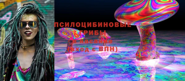 хмурый Вязники