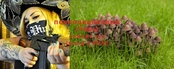 гашиш Болотное