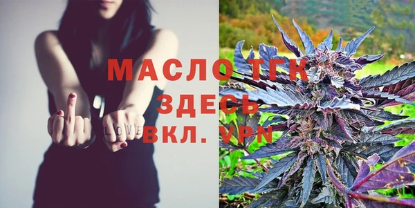 молекула духа Болохово