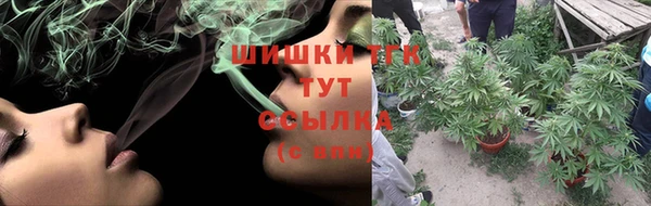 молекула духа Болохово