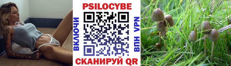 как найти закладки  Болотное  MEGA сайт  Галлюциногенные грибы прущие грибы 